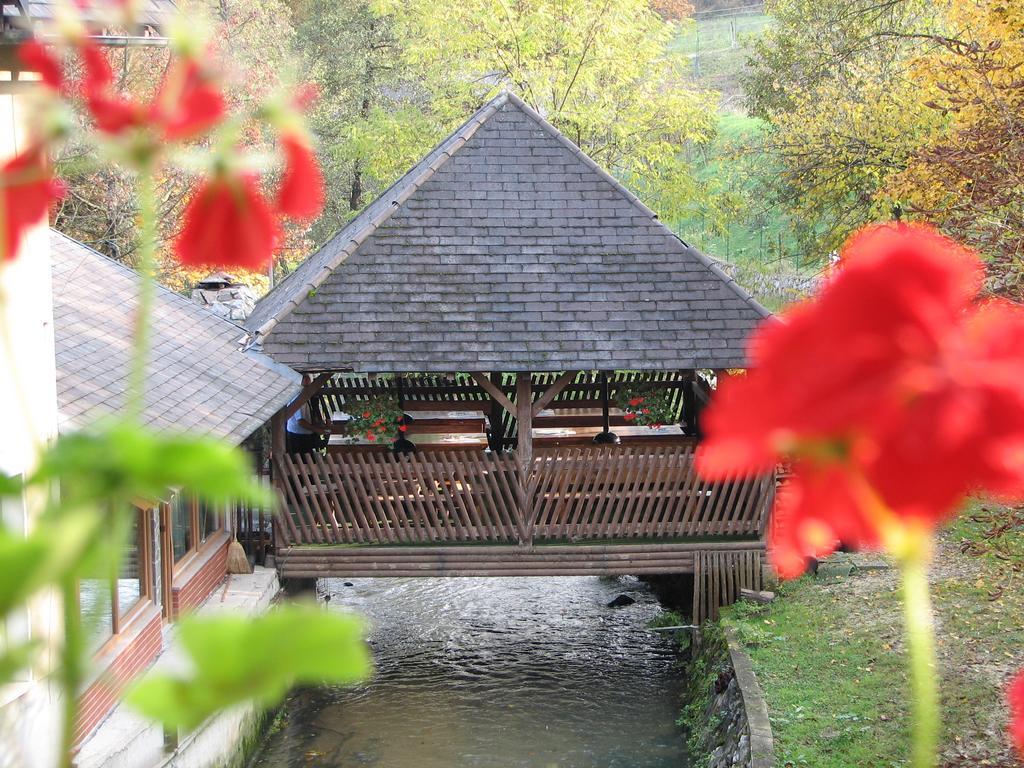 Guesthouse Zorko Gostilna Domen Шмарєске-Топлице Екстер'єр фото