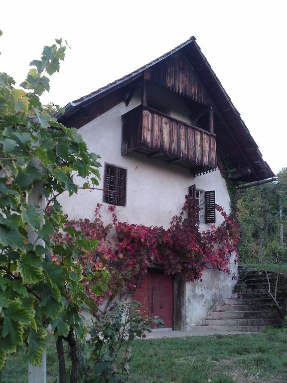 Guesthouse Zorko Gostilna Domen Шмарєске-Топлице Екстер'єр фото