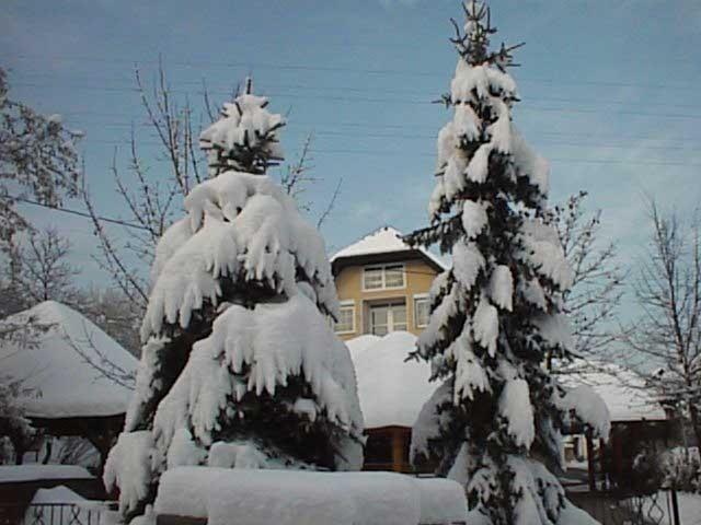 Guesthouse Zorko Gostilna Domen Шмарєске-Топлице Екстер'єр фото