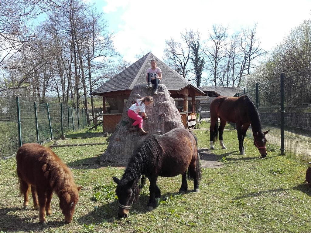 Guesthouse Zorko Gostilna Domen Шмарєске-Топлице Екстер'єр фото